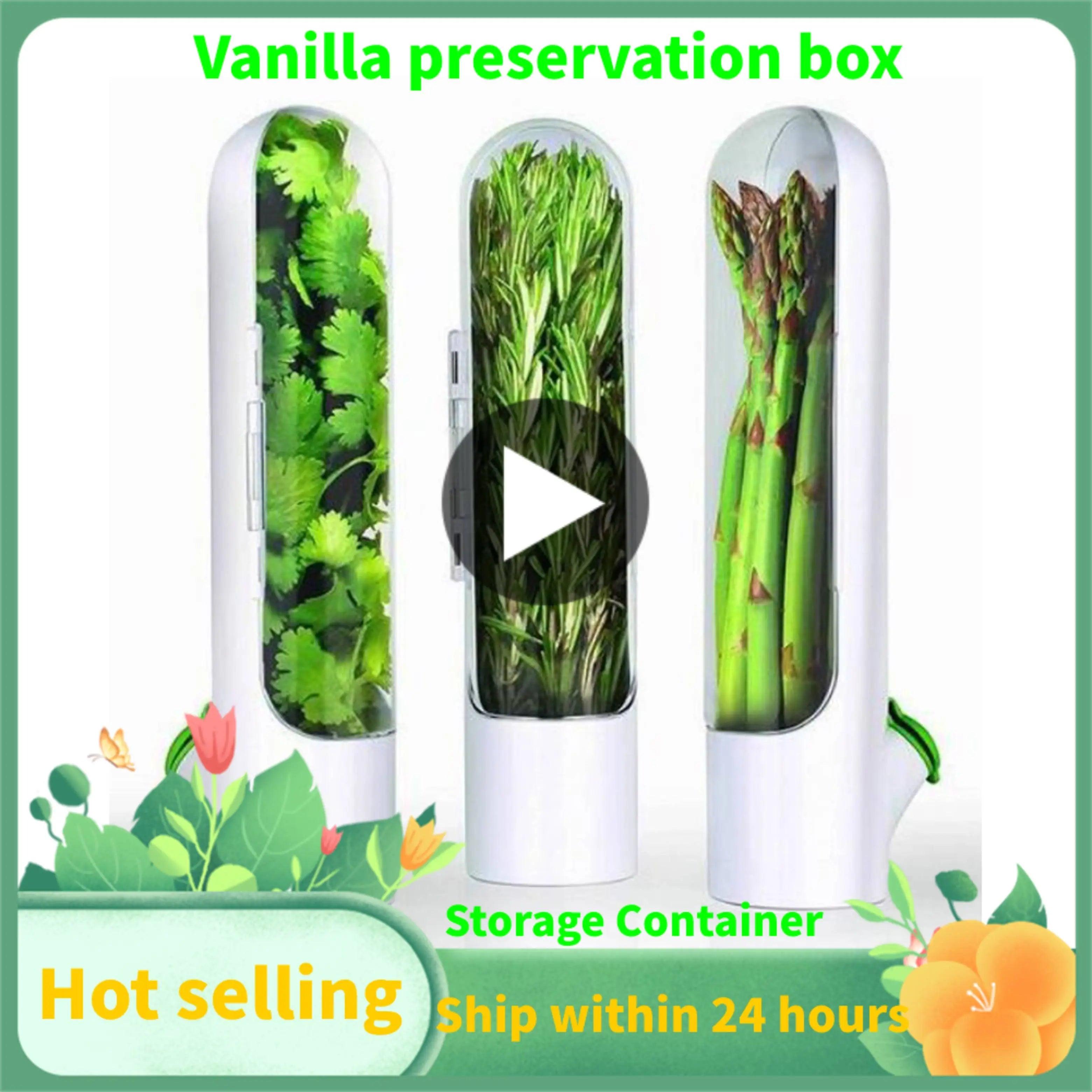 Vanilla Fresh Herb Keeper Herb Storage - MyStoreLiving