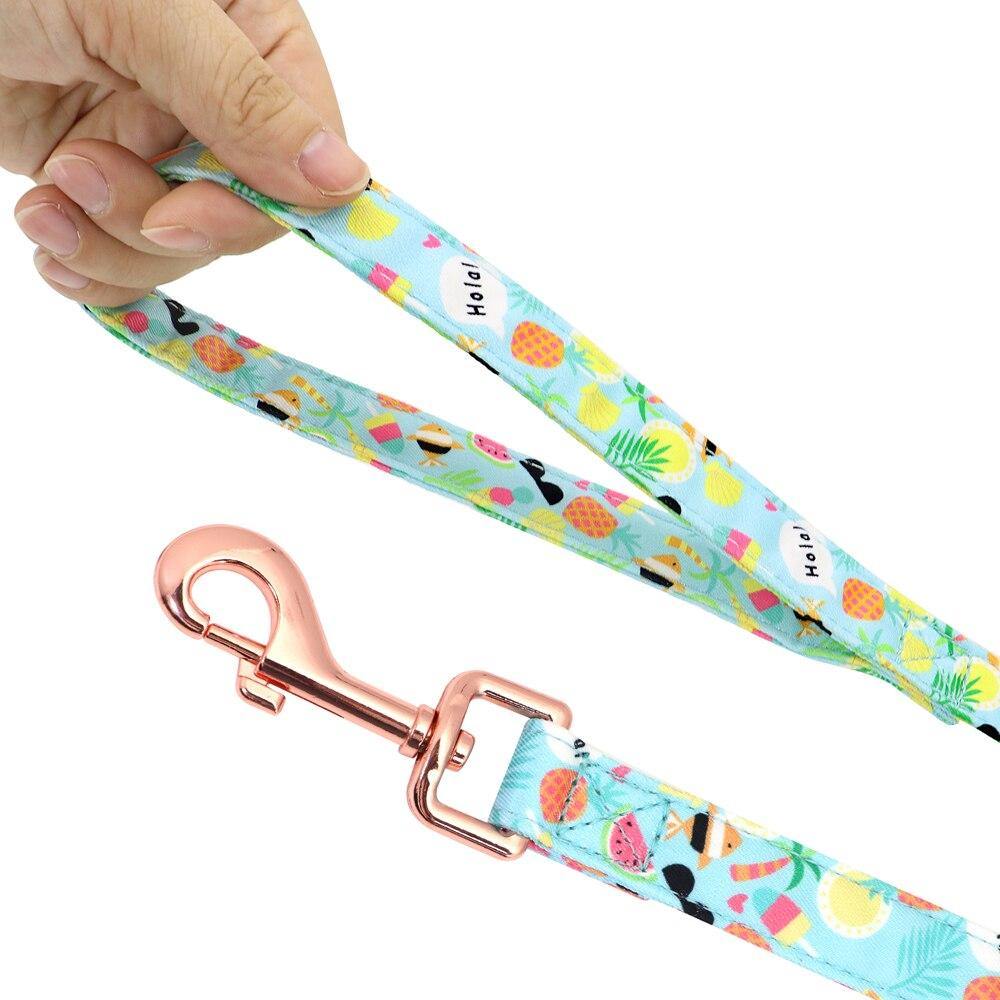 Custom Printed Dog Collar Leash Set Personalized Pet Dog Collar Harnesses Walking Leash - MY STORE LIVING