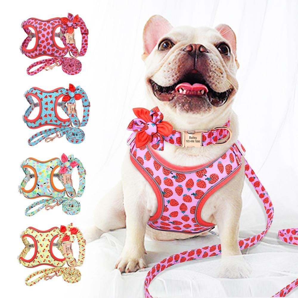 Custom Printed Dog Collar Leash Set Personalized Pet Dog Collar Harnesses Walking Leash - MY STORE LIVING
