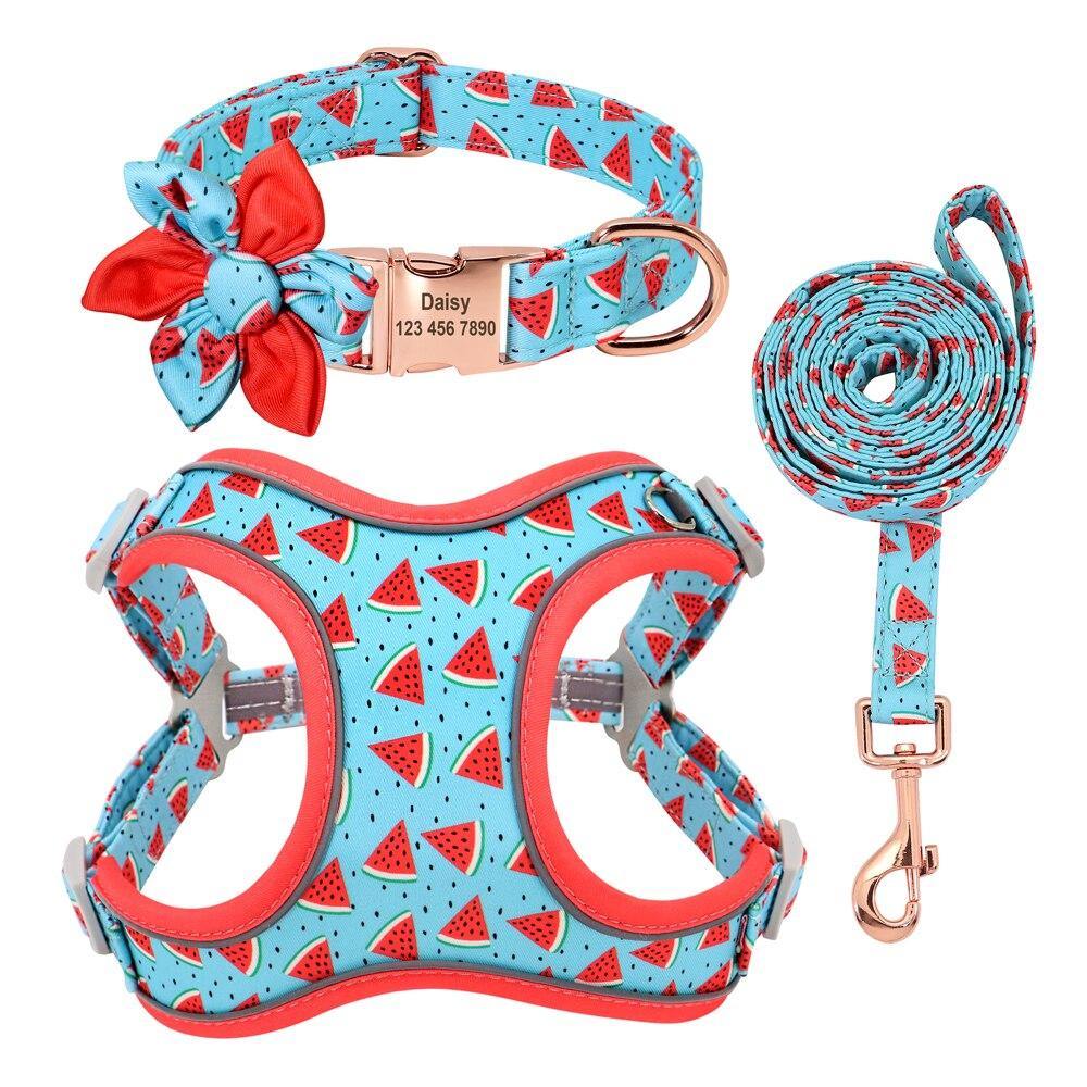 Custom Printed Dog Collar Leash Set Personalized Pet Dog Collar Harnesses Walking Leash - MY STORE LIVING