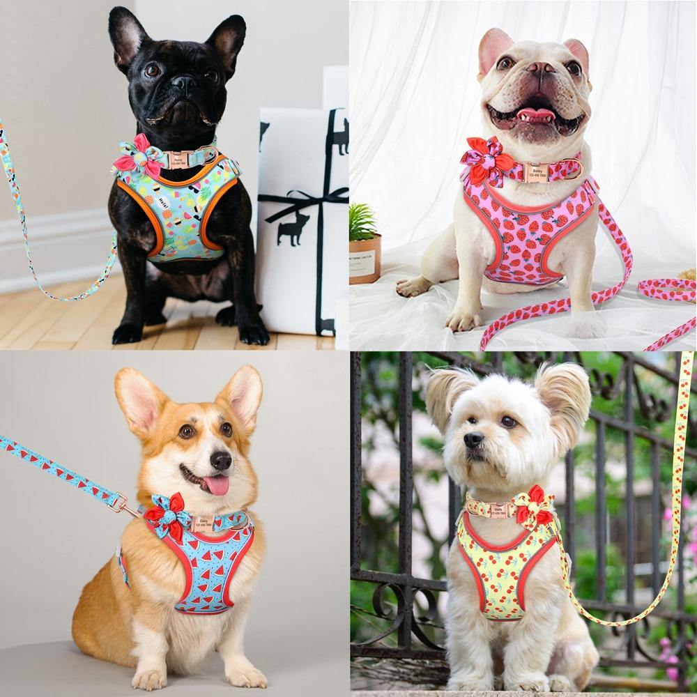 Custom Printed Dog Collar Leash Set Personalized Pet Dog Collar Harnesses Walking Leash - MY STORE LIVING