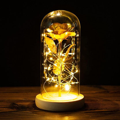 Eternal Rose LED Lights Led Lights String Forever In A Glass Unique Gifts - MyStoreLiving