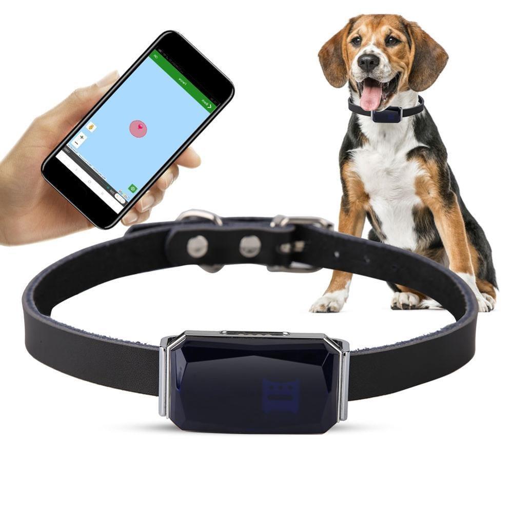 Smart Pet GPS Tracker - MyStoreLiving